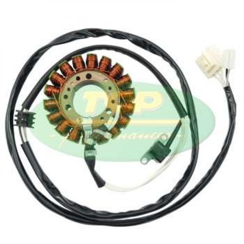 St00021 statore volano magnete - st00021,
