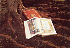 AL17-74E) CARTOLINA ROMA VIA CASSIA ANTICA TREC BIBBIA BORSO ESTE