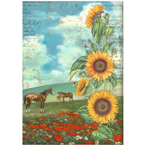 Carta riso sunflower - carta,