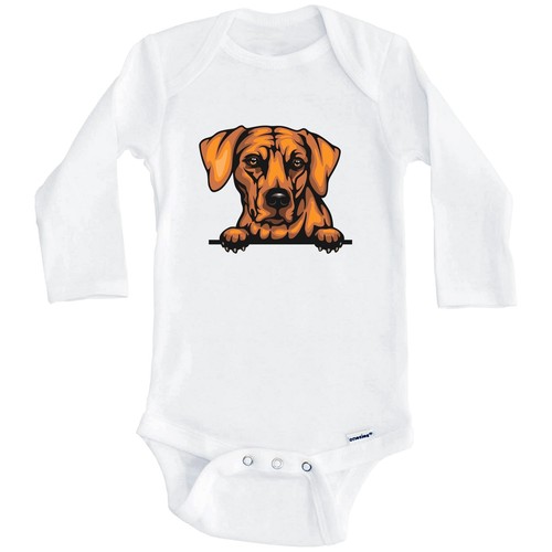 Rhodesian ridgeback dog breed - dog,