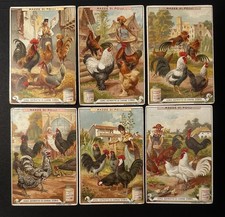 FIGURINE LIEBIG  n. 531 –