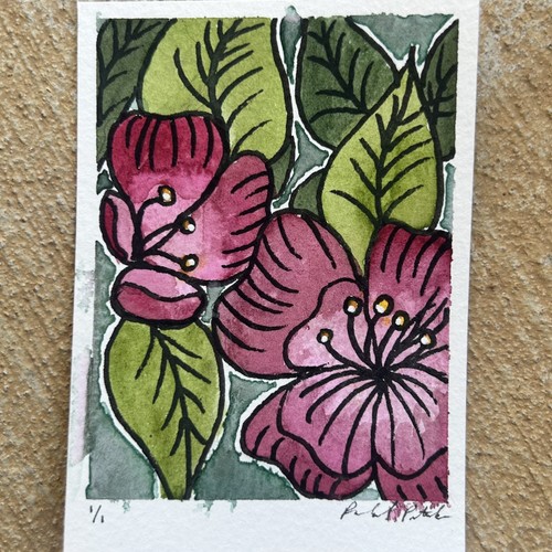 Aceo quadro originale peonie - aceo,