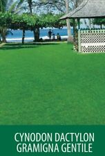 SEMI SEMENTI DI PRATO GRAMIGNA CYNODON DACTYLON 5 kg