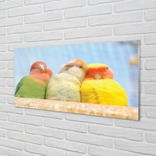 Quadro arte da parete stampa