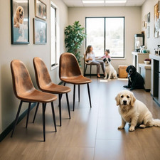 Sedia Da Parrucchiere/Salone