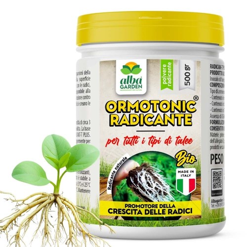 Ormone radicante per - ormone, sviluppo