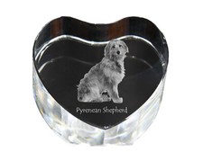 Cane da pastore dei Pirenei