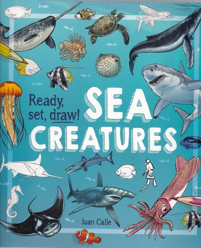 Ready set draw - how, sea