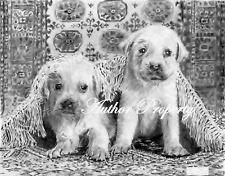 LABRADOR GOLDEN RETRIVER CUCCIOLI originale disegno a matita grafite 9,5" x 13"