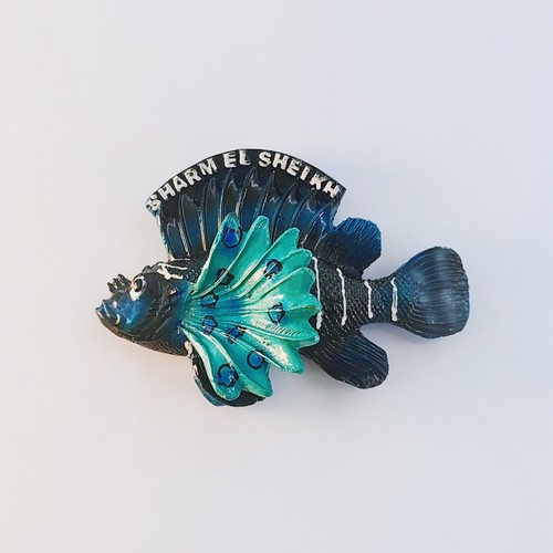 Calamite frigo egitto - frigo, sharm