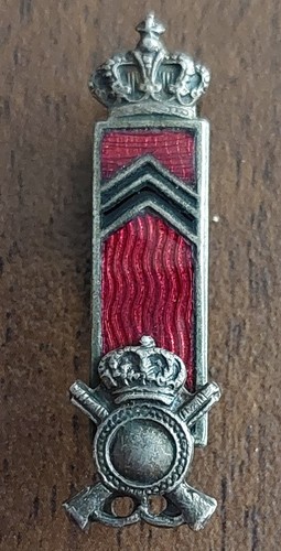 Regio esercito distintivo - regio,