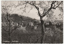 CONEGLIANO - TREVISO -