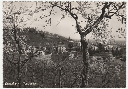 Conegliano treviso - conegliano,