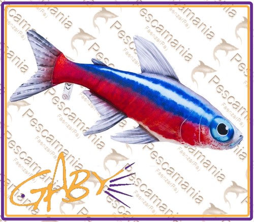 Cuscino pesce neon idea - neon, regalo