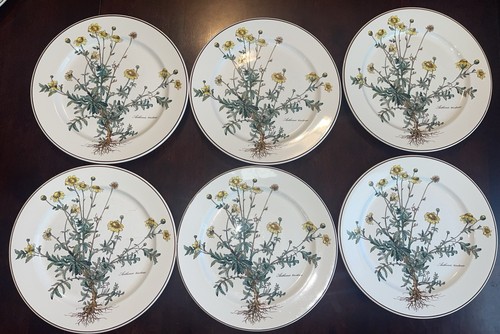 Set villeroy boch - set,