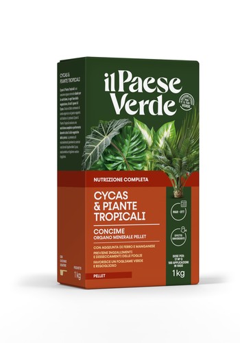 Concime piante verdi tropicali - piante,