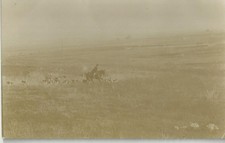 Cartolina foto - Caccia alla