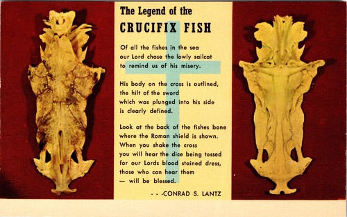 Crocifisso fish legend - crocifisso,