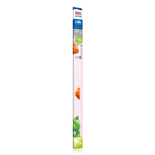 Juwel aquarium luce - juwel, aquarium,