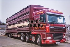 Foto camion DAF XF 480 trasportatore bestiame UK marrone M.E. EDWARDS & SONS DAF 480 #e1xz