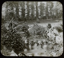 Magic Lantern Slide MORRAB