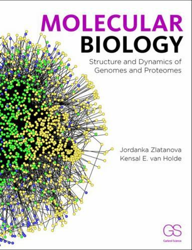 Molecular biology structure - molecular,