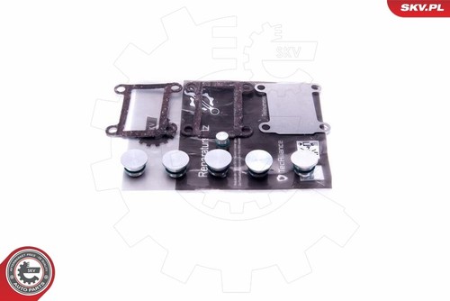 Esen skv riparazione modulo - esen,