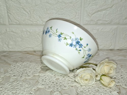 Vintage myosotis scodella - myosotis,