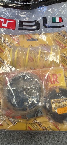 Variatore malossi multivar - variatore,