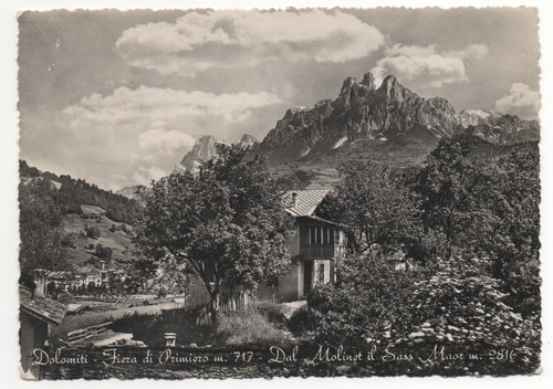 Dolomiti fiera primiero - fiera, di