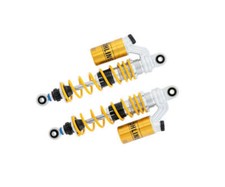 Coppia Ammortizzatori OHLINS