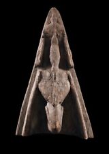 Proue de pirogue, canoa prua