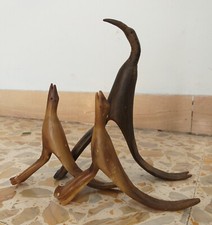3 vecchi ibis egiziani
