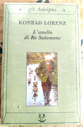 Anello salomone - l',