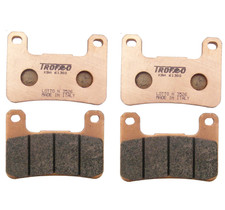 KIT 2 CP PASTIGLIE ANT TROFEO