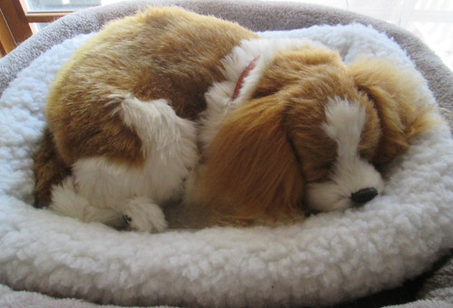 Vintage perfetto petzzz - perfetto,