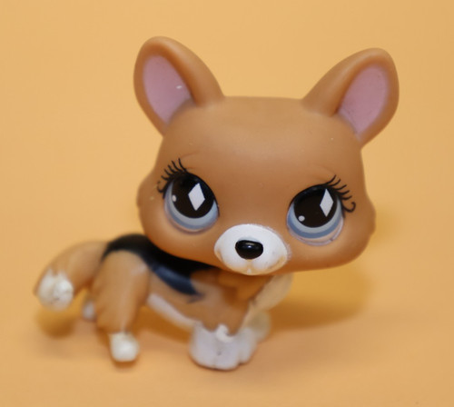 Hasbro littlest pet - hasbro, shop