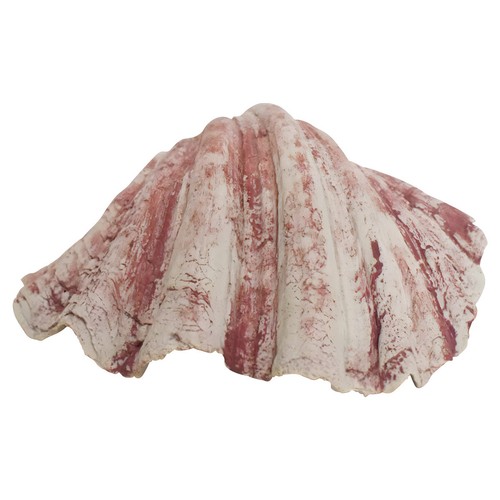 Nobby decorazione acquario - nobby,