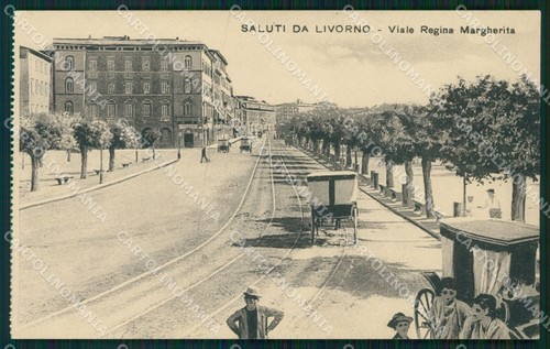 Livorno città viale regina - livorno,