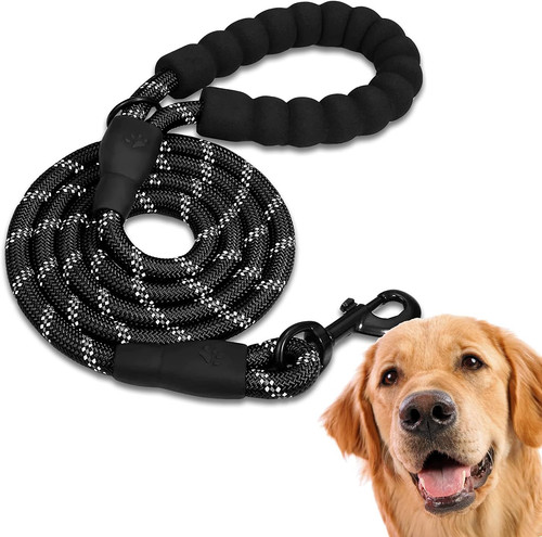 Guinzaglio per cani - guinzaglio,