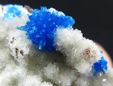 Campioni di minerali di