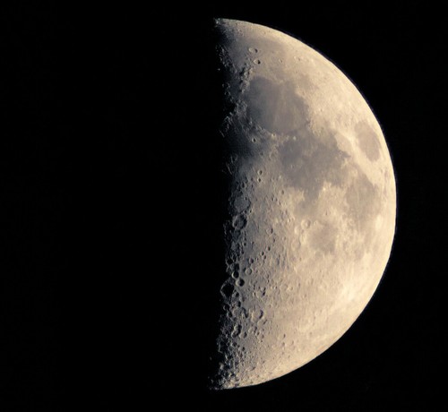 Nikon dslr digitale adatta - nikon, per
