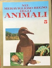 Nel Meraviglioso regno degli