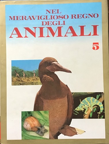 Nel meraviglioso regno - nel,