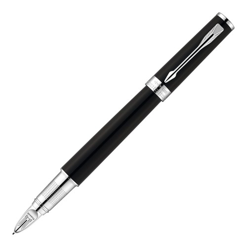 Penna stilografica parker - stilografica,