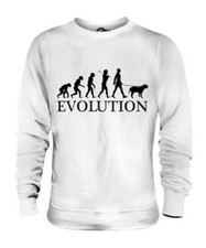 Dogue De Bordeaux Evolution Of
