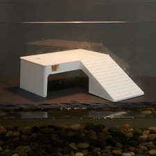 Piattaforma per Tartarughe con