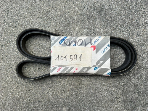 Cinghia ditribuzione alfa - cinghia,