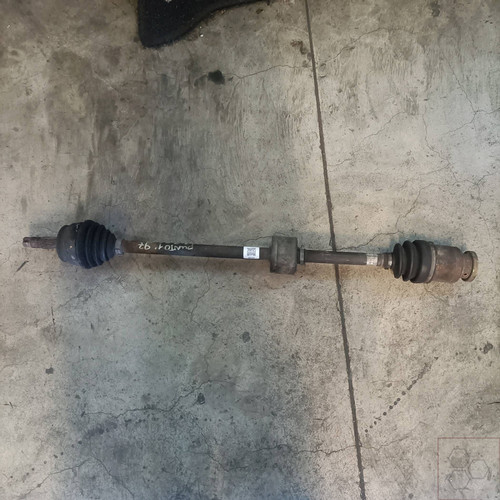 7739016 semialbero ant - 7739016,