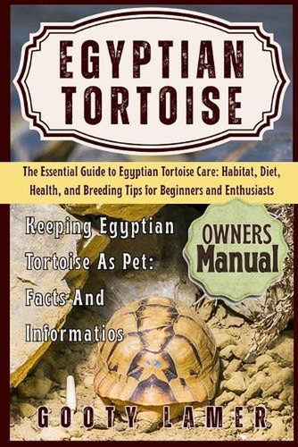 Egyptian tortoise the - tortoise:,